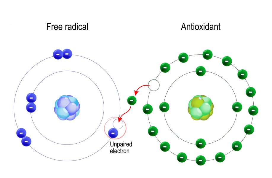 Free radical & antioxidant atom