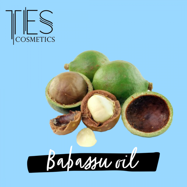 babassu oil graphic