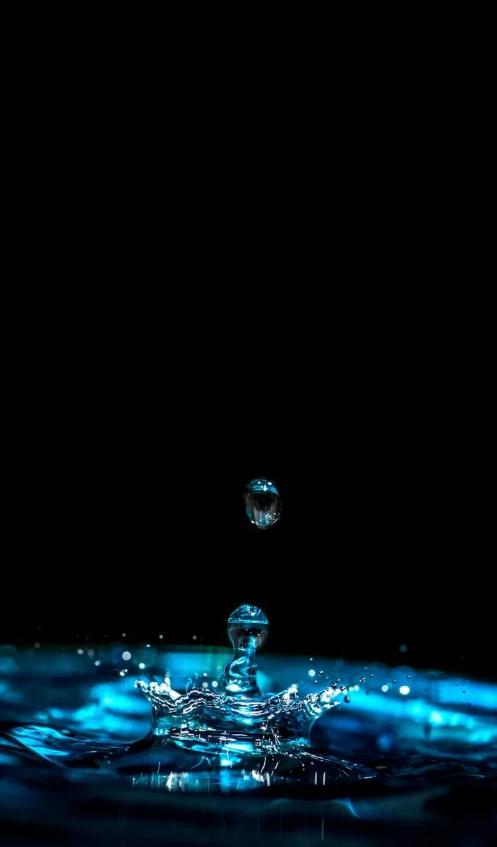 close-up photography of droplets